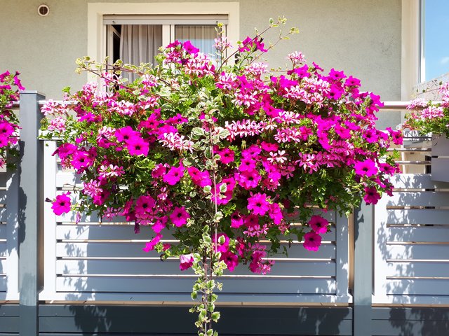 Blumenkasten an einem Balkon